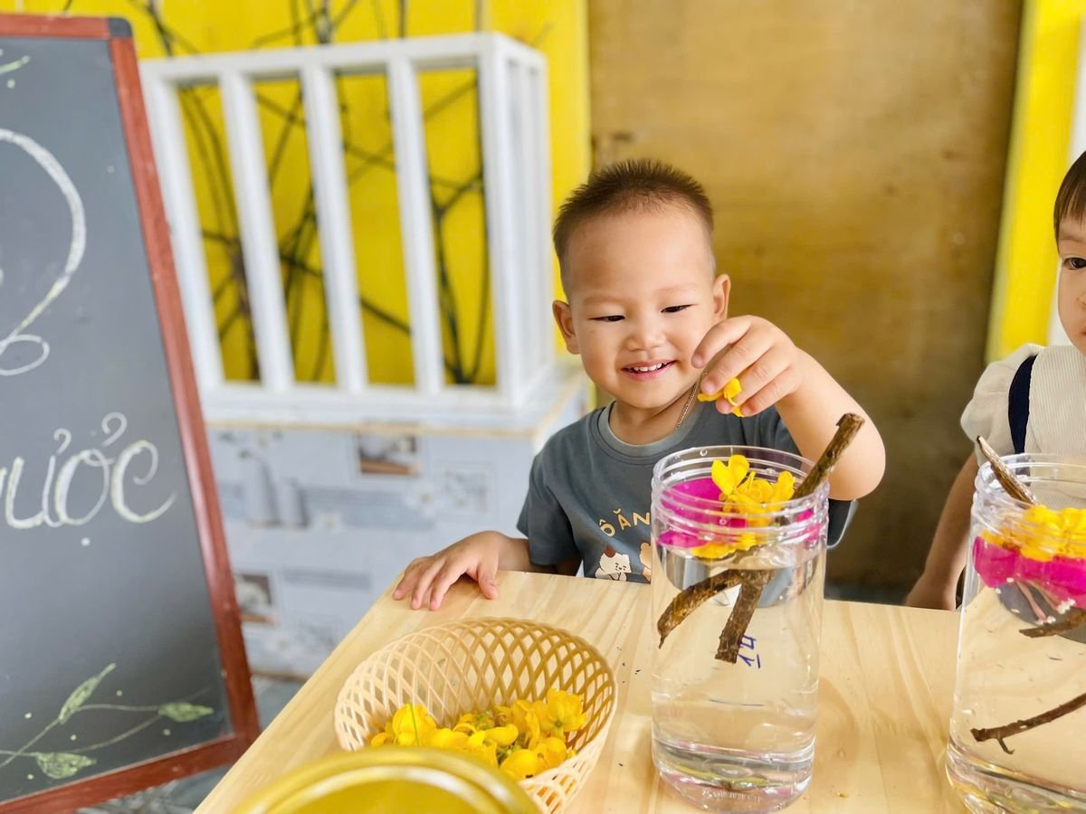 Ảnh hoạt động