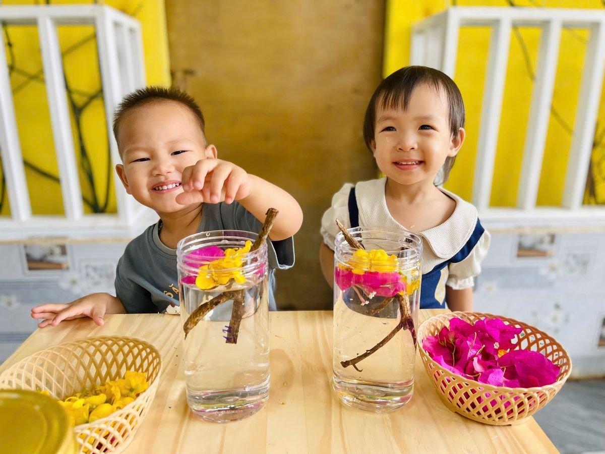 Ảnh hoạt động