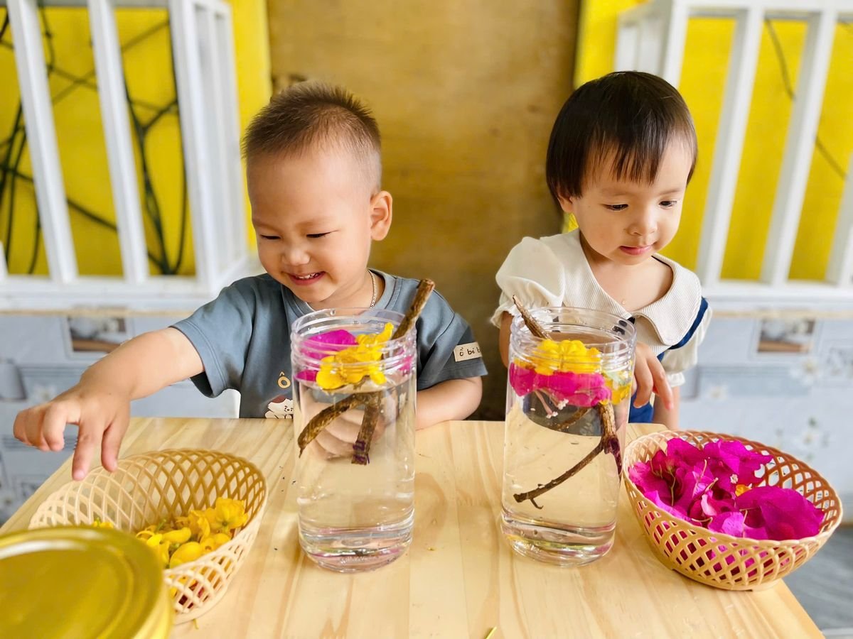 Ảnh hoạt động