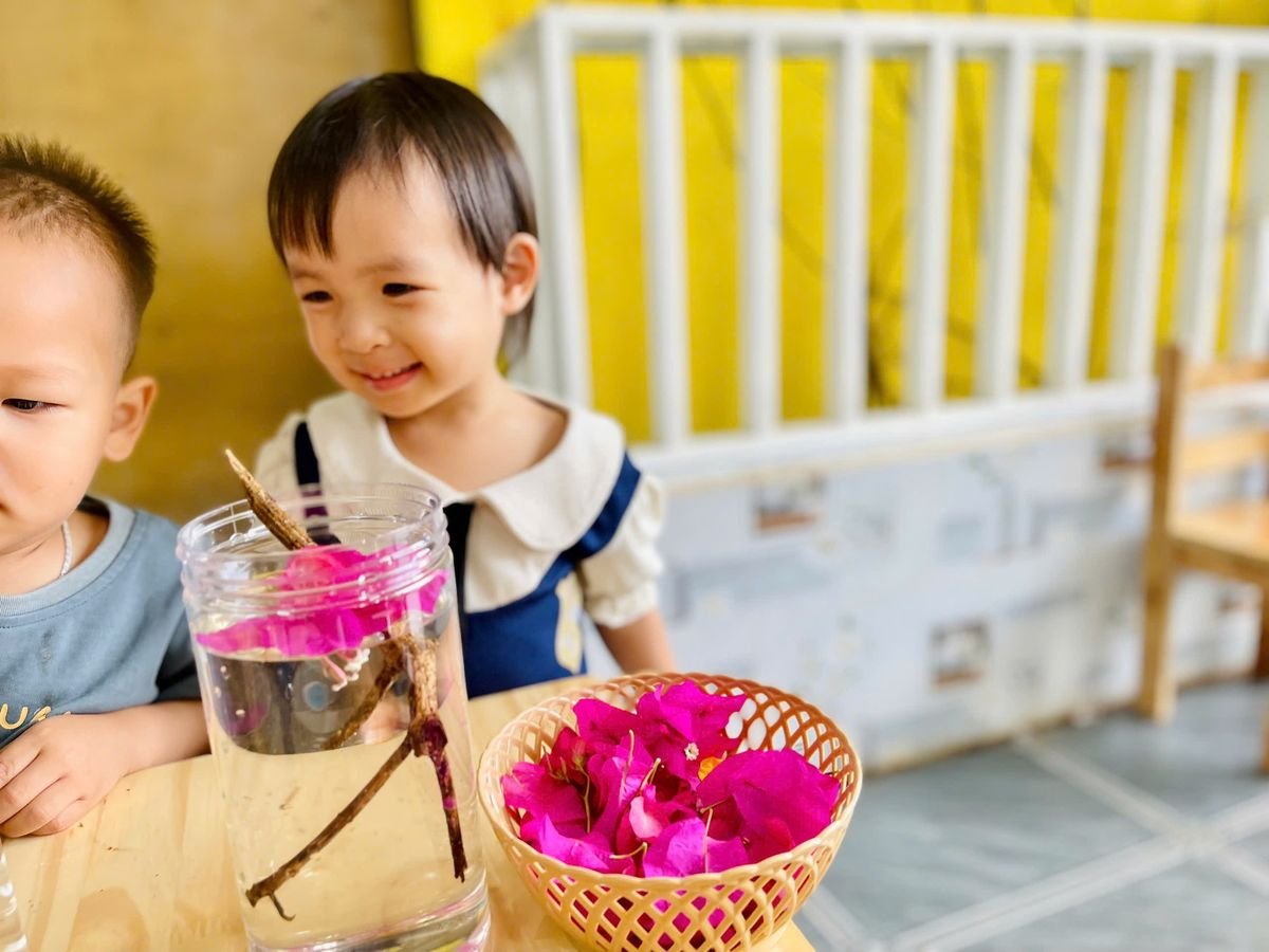 Ảnh hoạt động