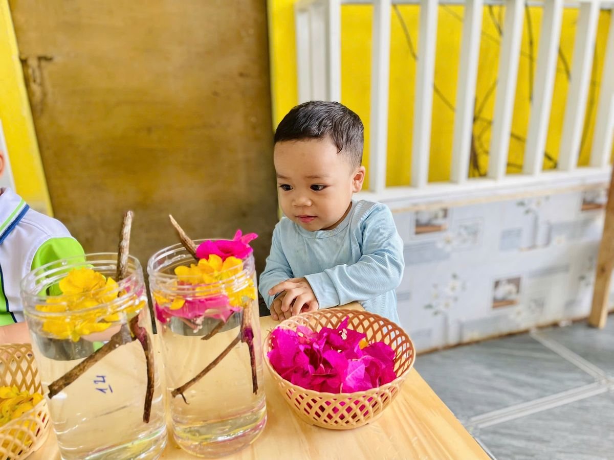 Ảnh hoạt động