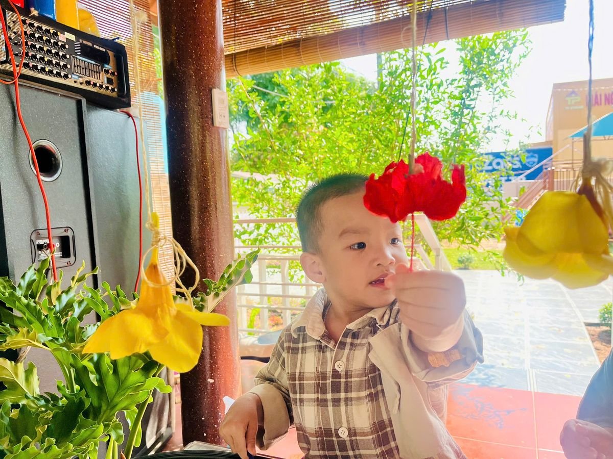 Ảnh hoạt động