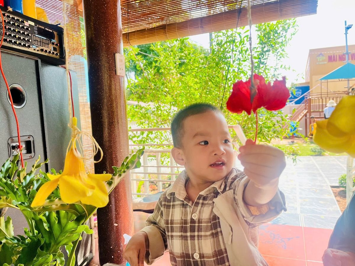 Ảnh hoạt động