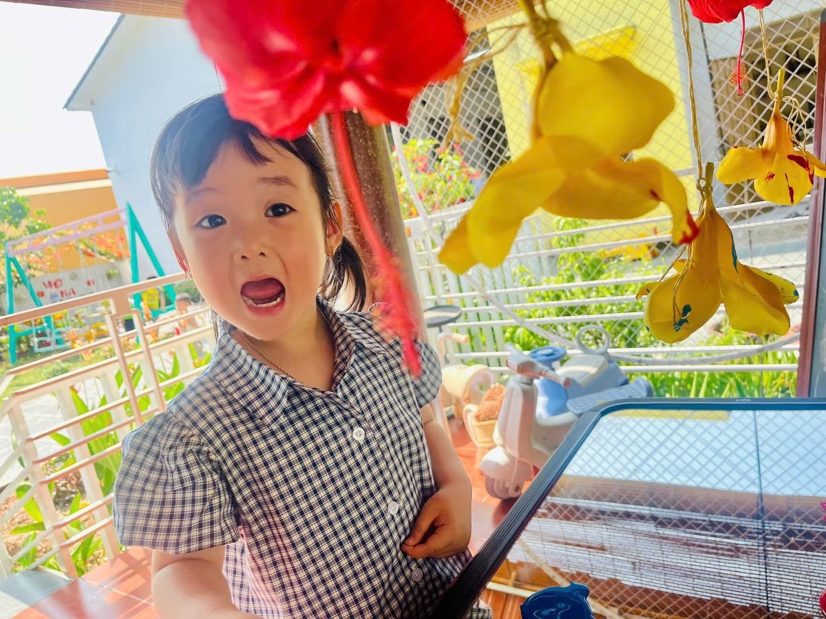 Ảnh hoạt động