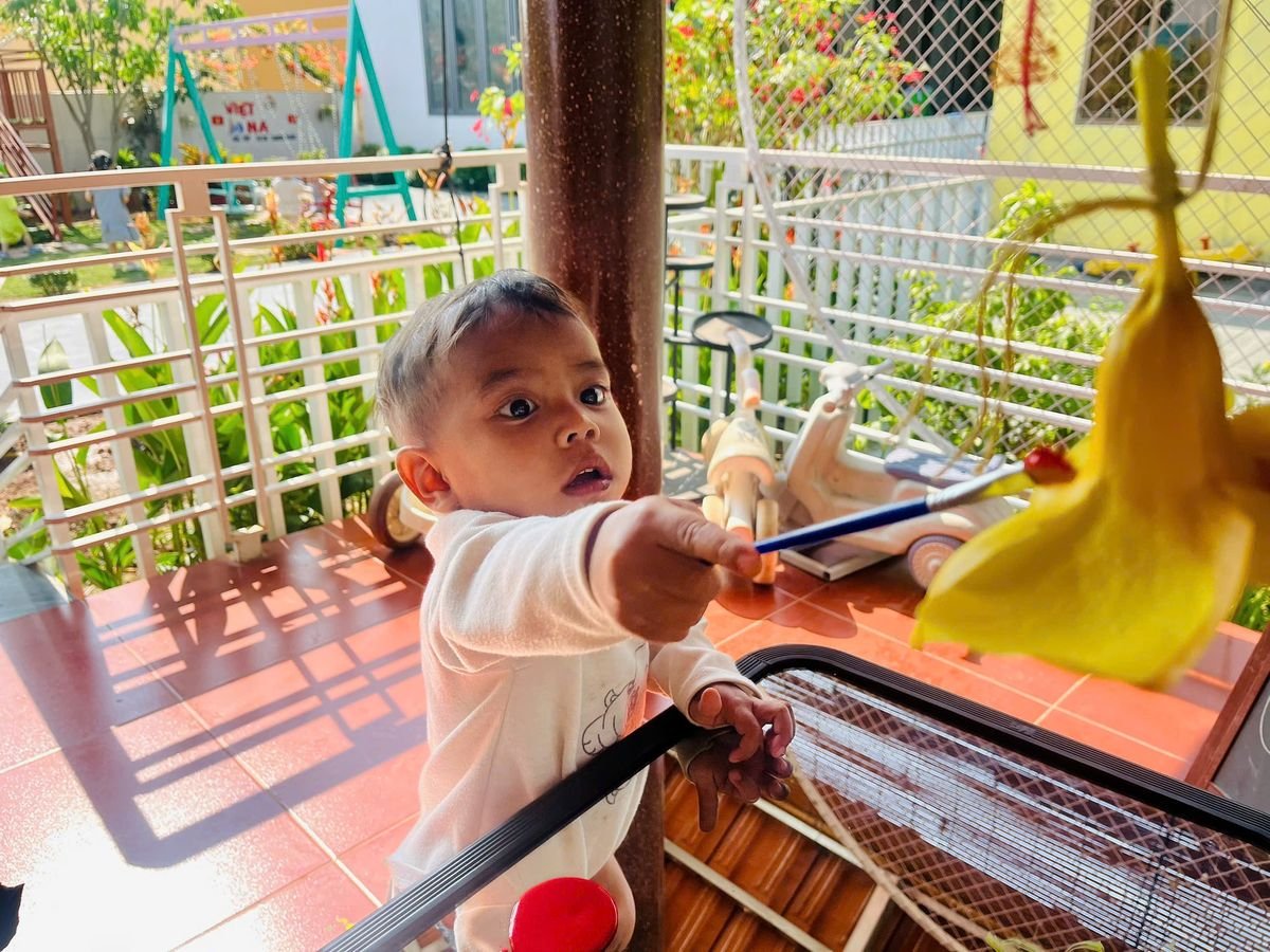 Ảnh hoạt động