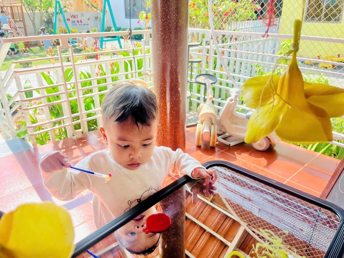 Ảnh hoạt động