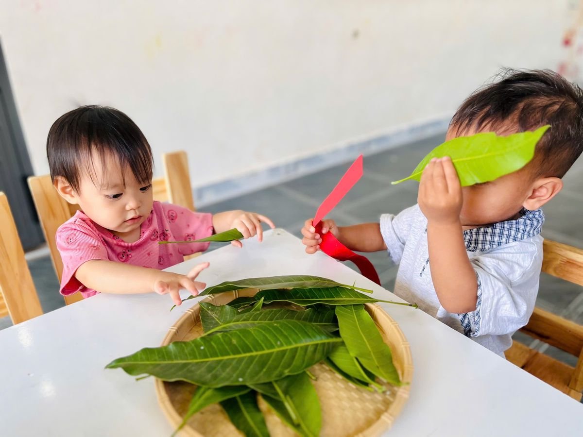 Ảnh hoạt động