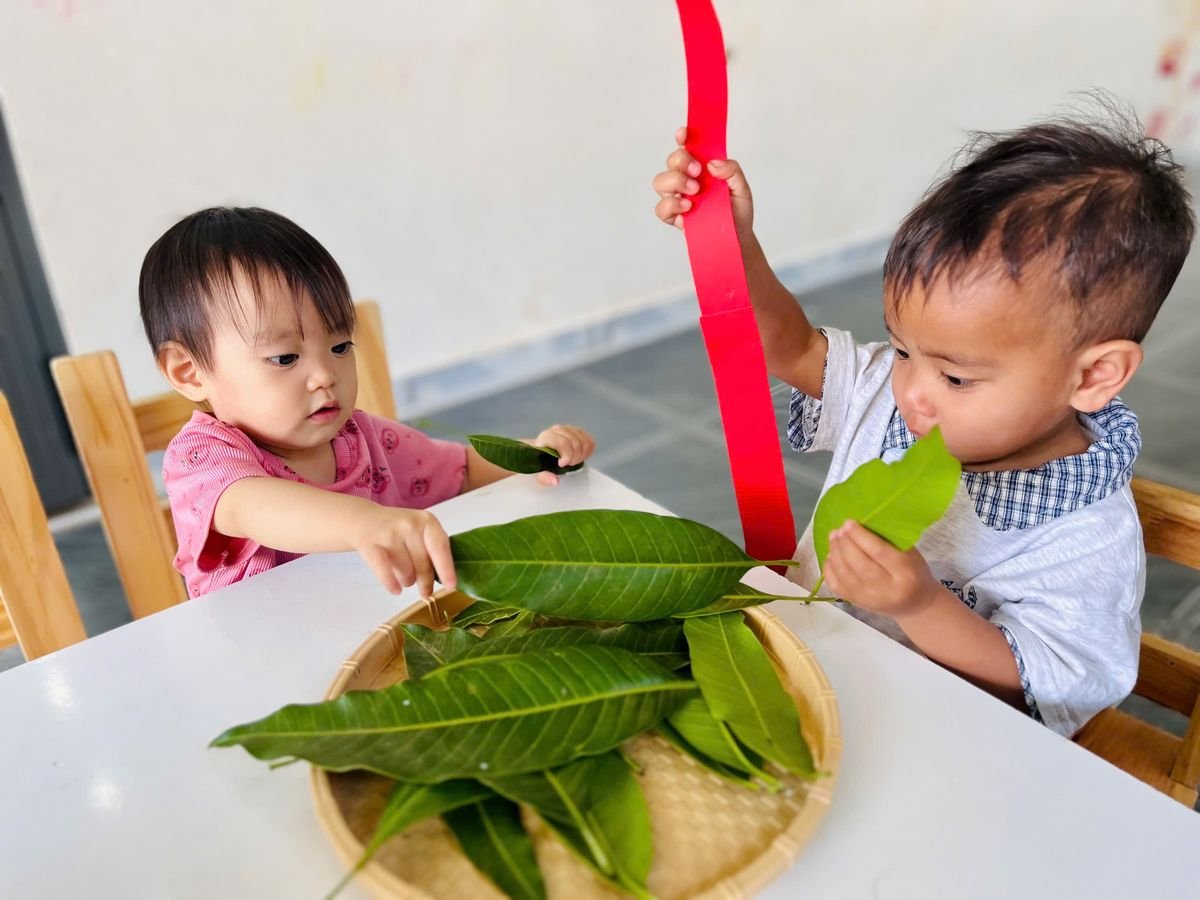 Ảnh hoạt động