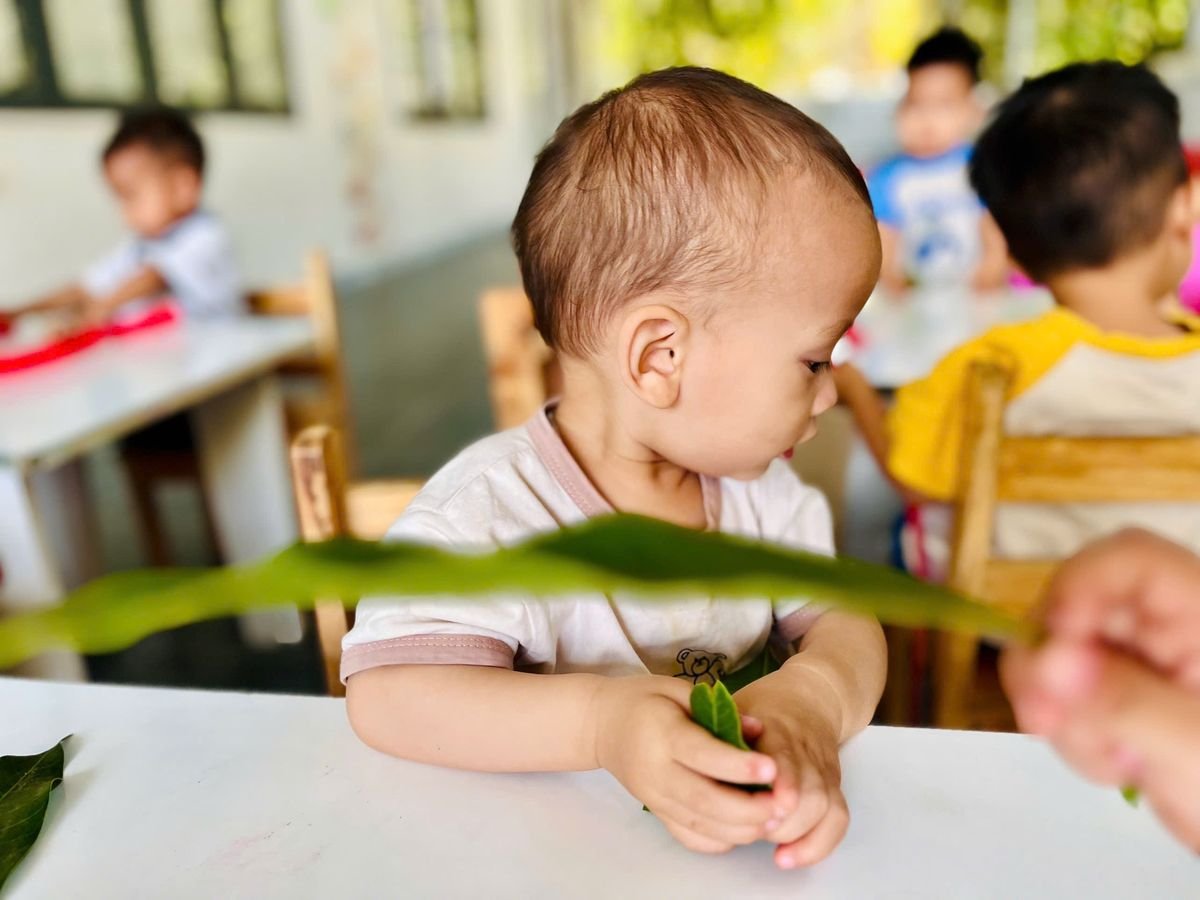 Ảnh hoạt động