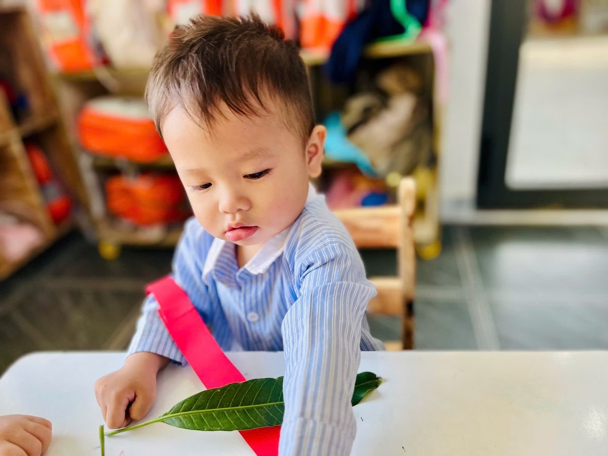 Ảnh hoạt động