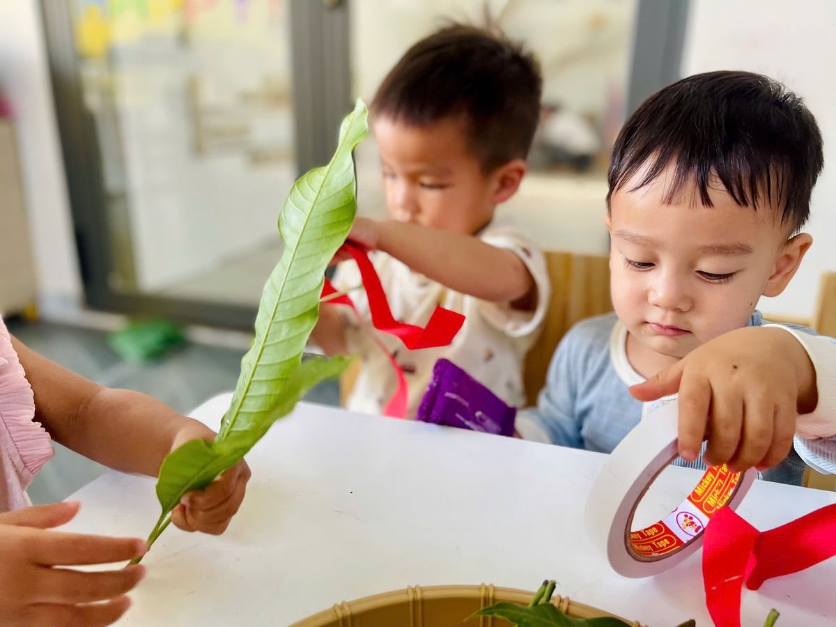 Ảnh hoạt động