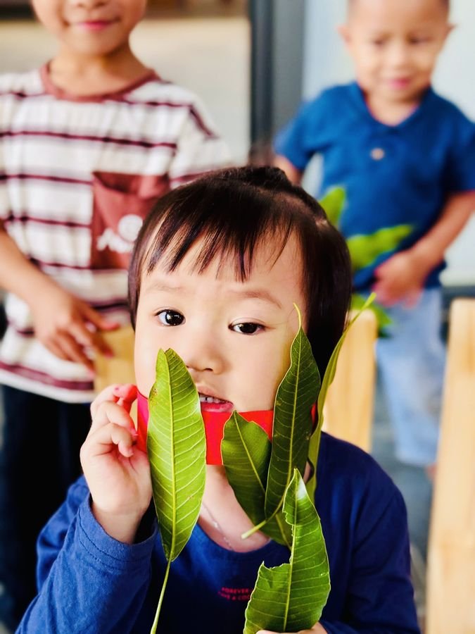 Ảnh hoạt động