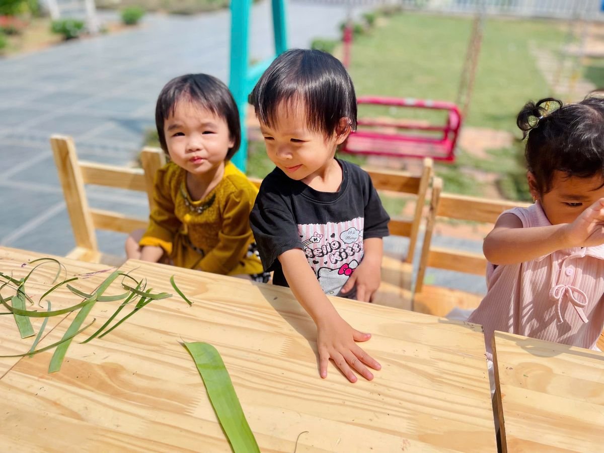 Ảnh hoạt động