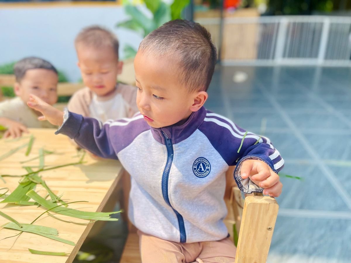 Ảnh hoạt động