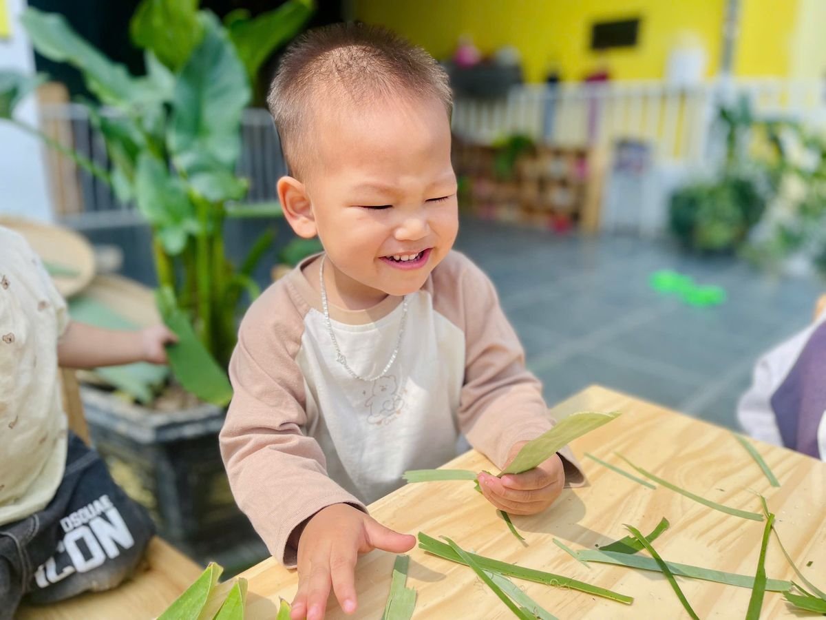 Ảnh hoạt động