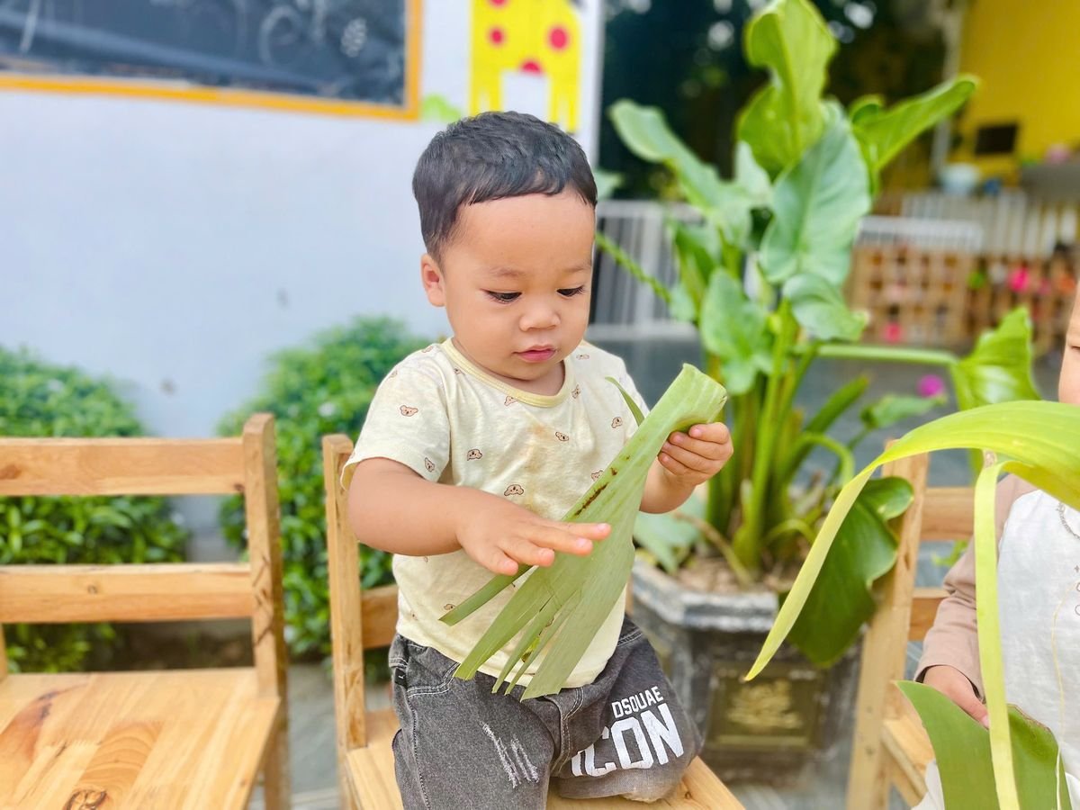 Ảnh hoạt động