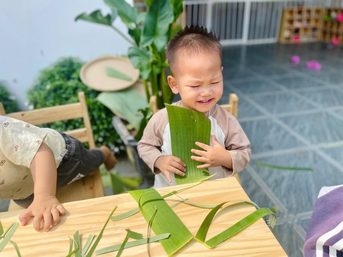 Ảnh hoạt động