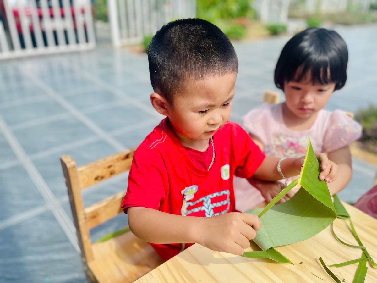 Ảnh hoạt động