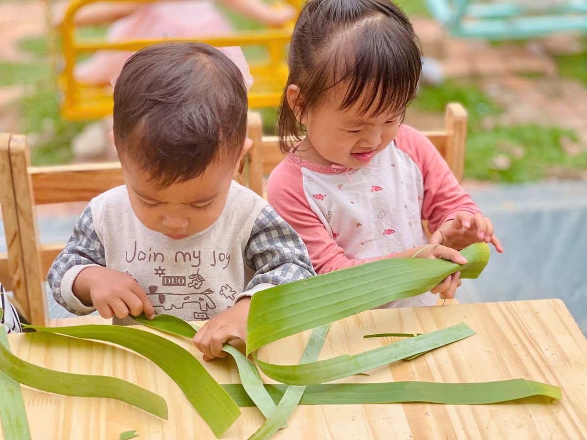 Ảnh hoạt động