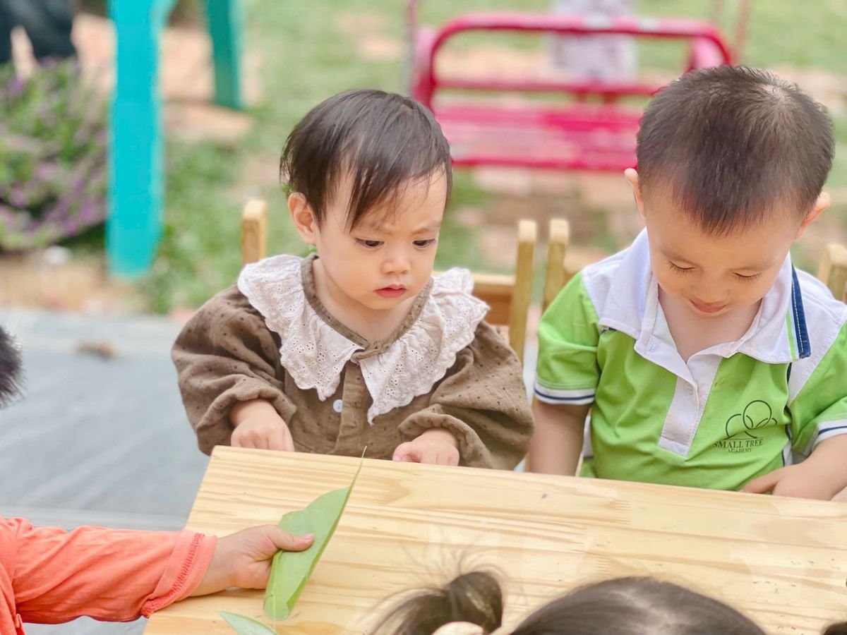 Ảnh hoạt động