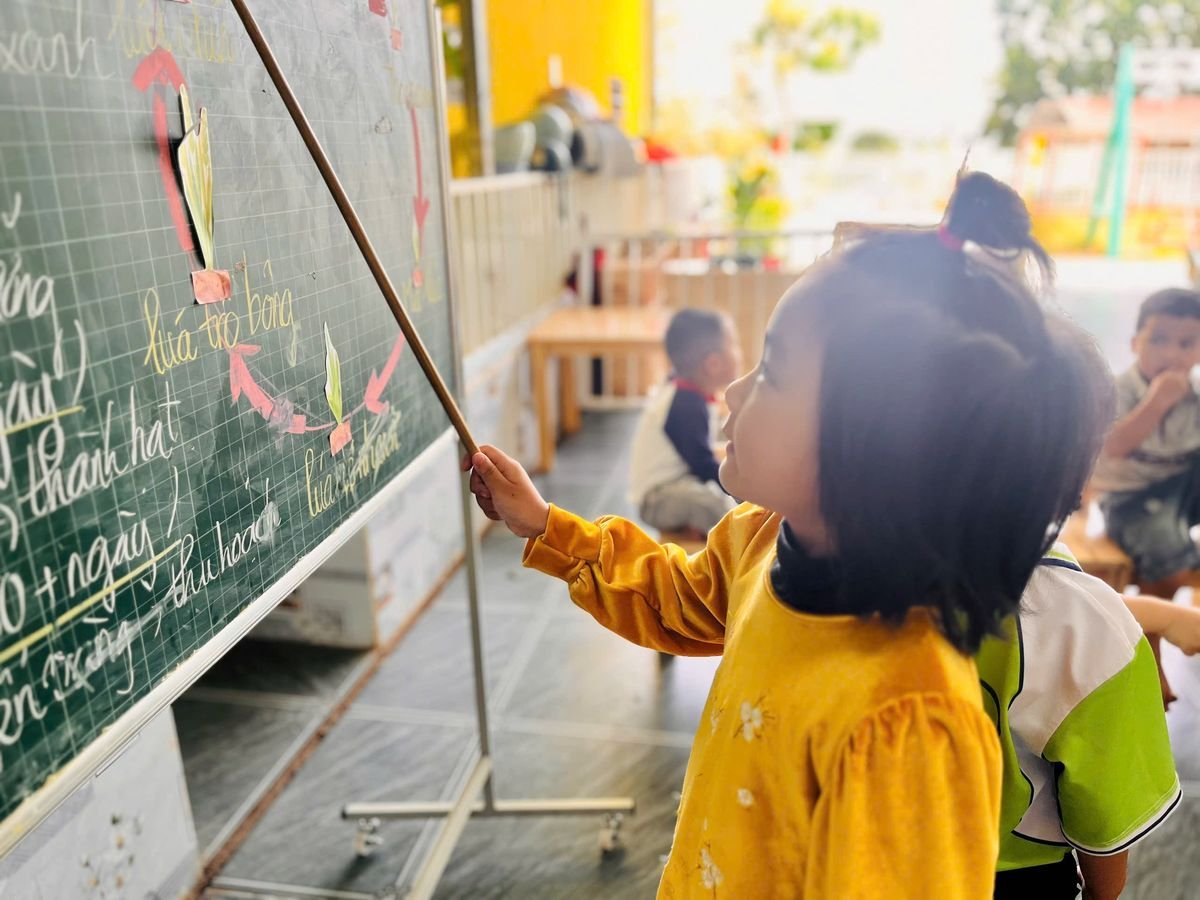 Ảnh hoạt động