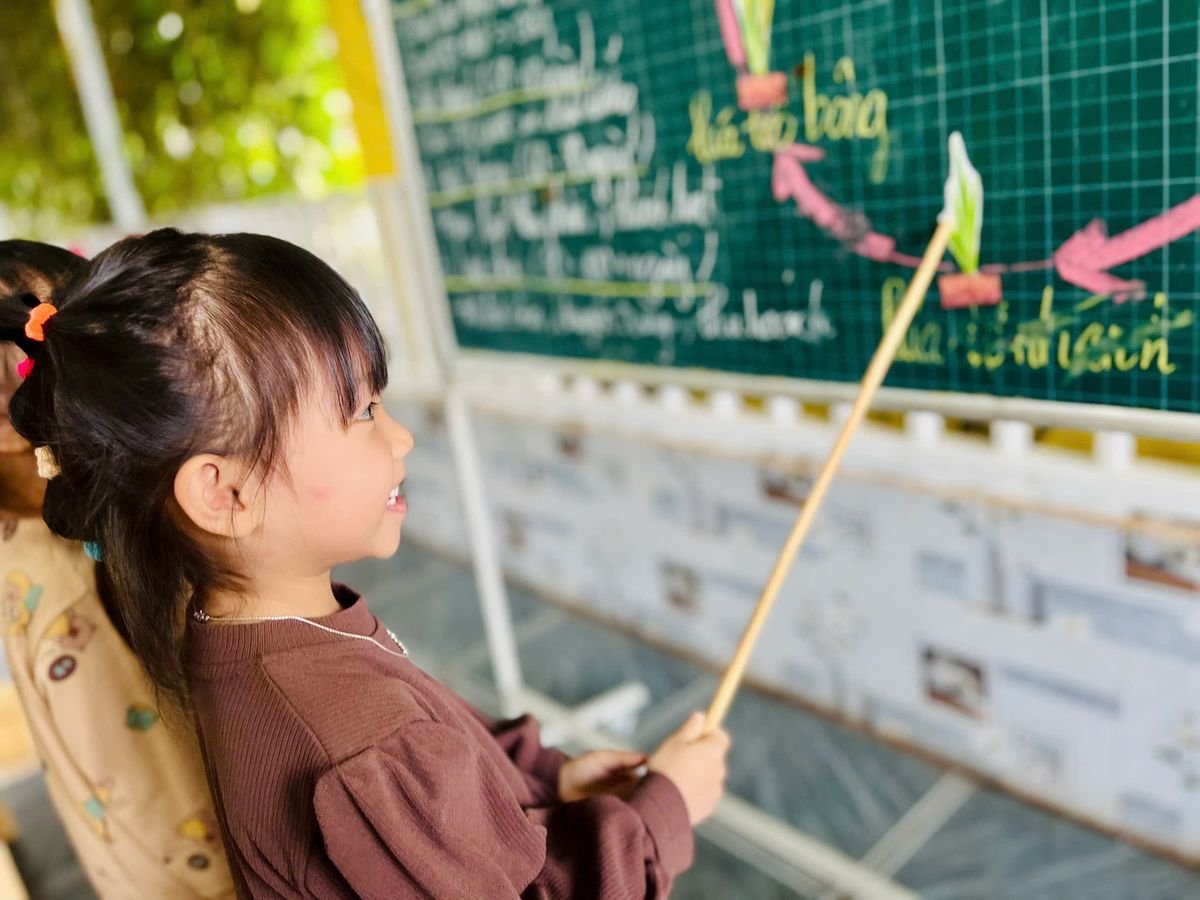 Ảnh hoạt động