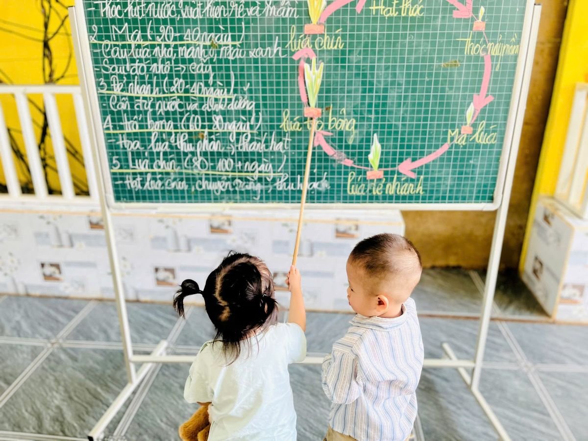 Ảnh hoạt động