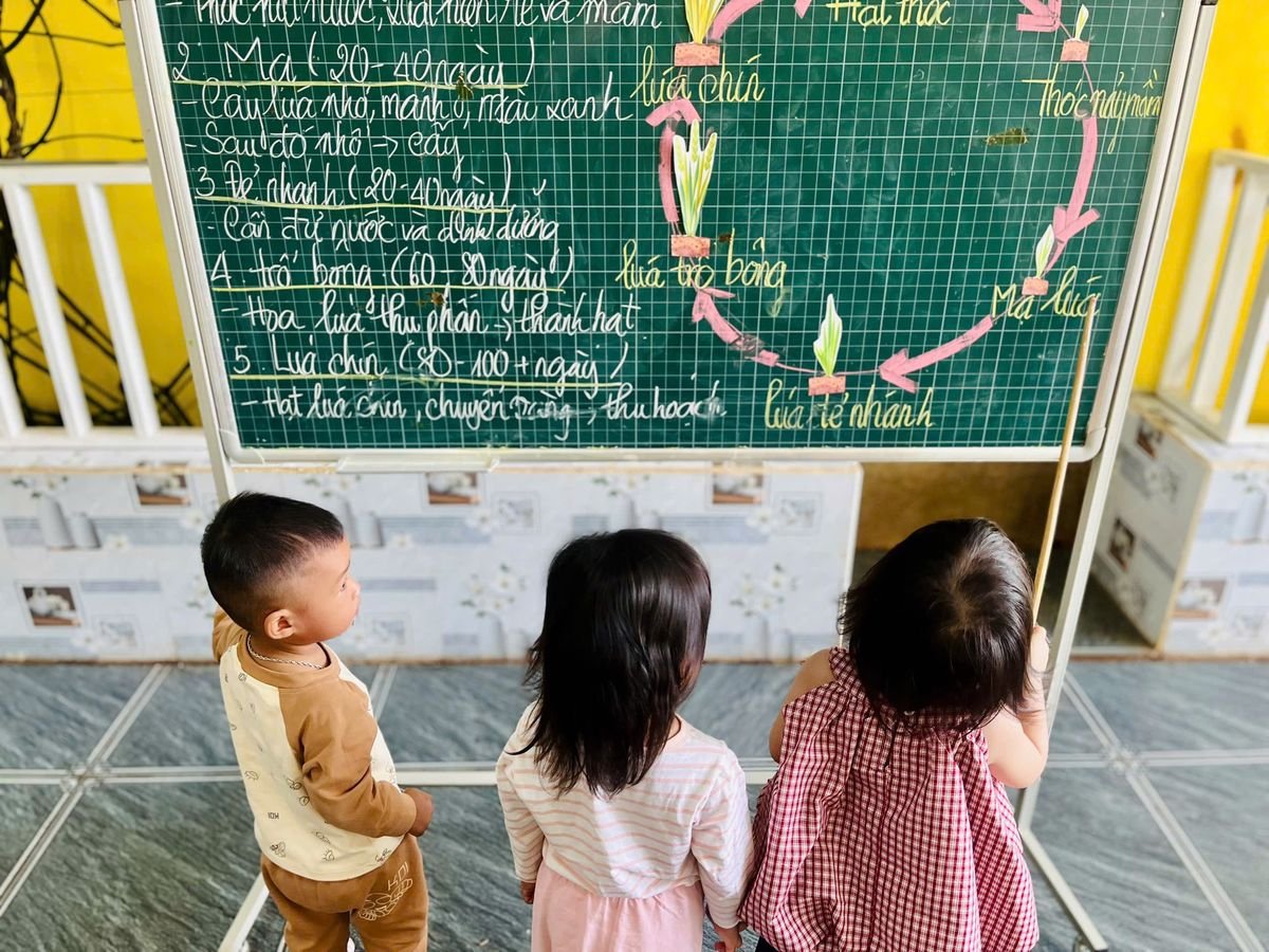 Ảnh hoạt động