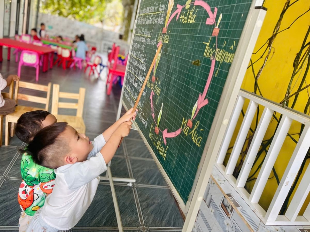 Ảnh hoạt động