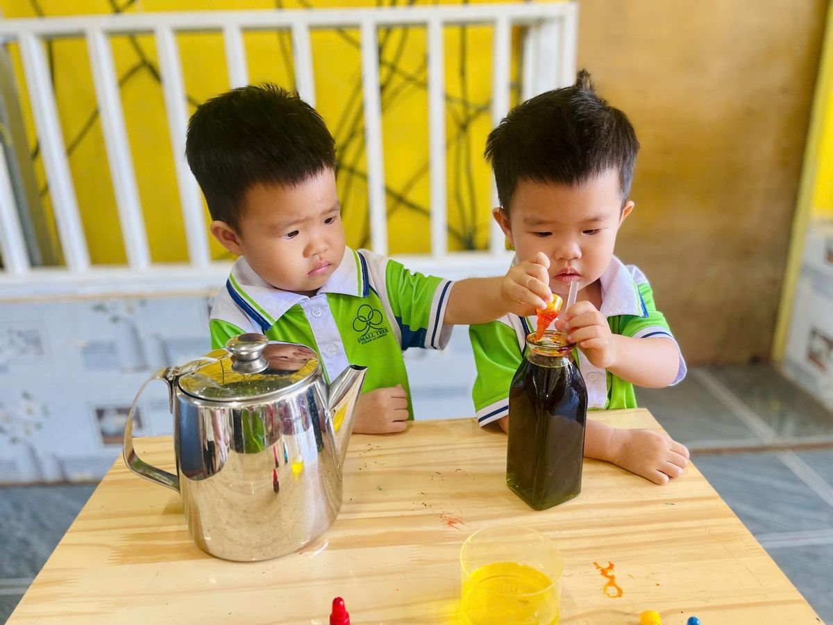Ảnh hoạt động