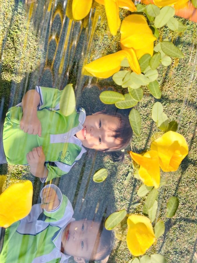 Ảnh hoạt động