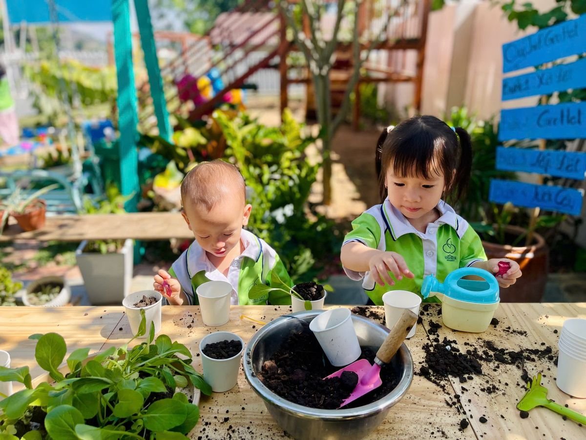 Ảnh hoạt động