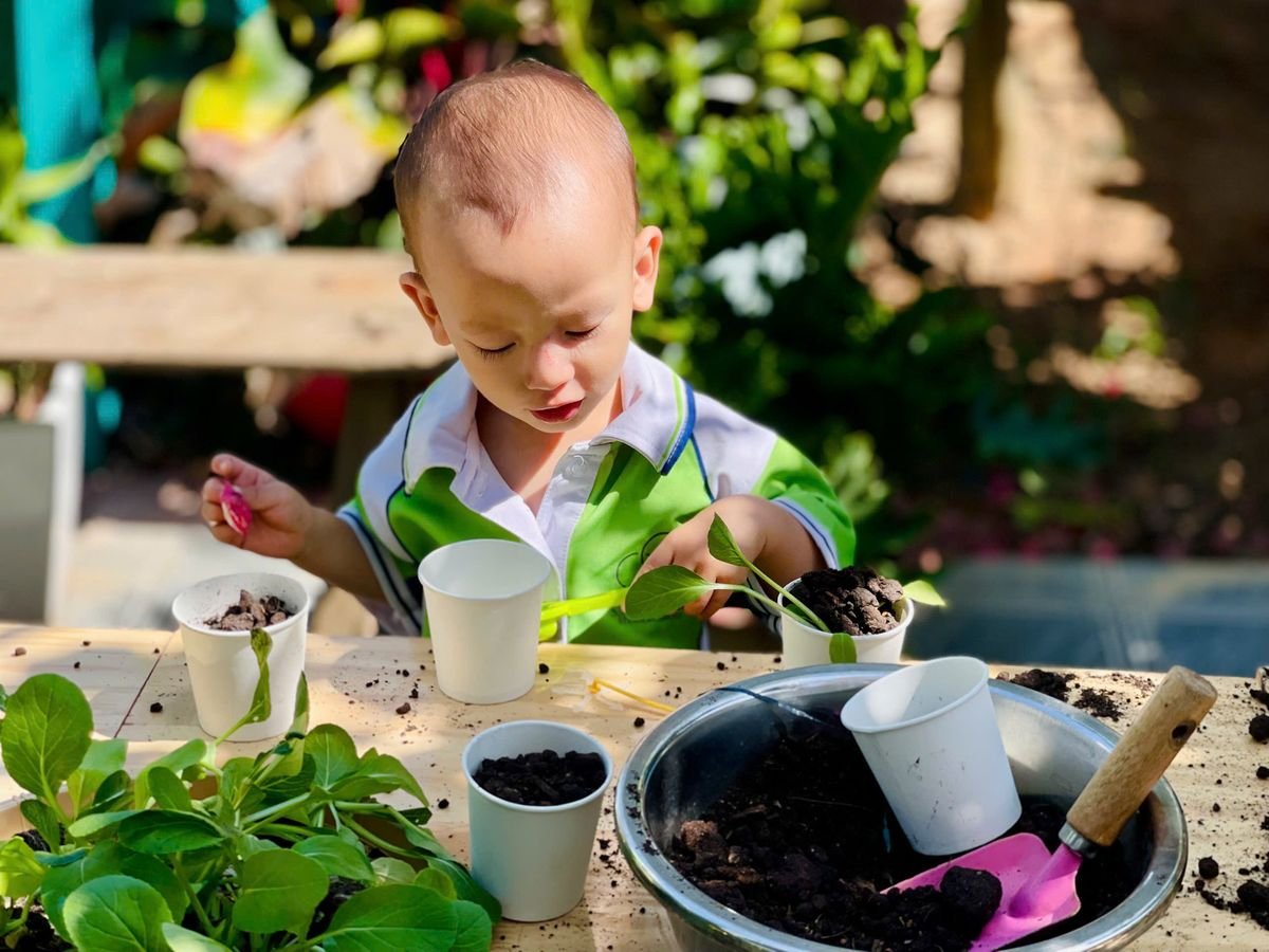Ảnh hoạt động