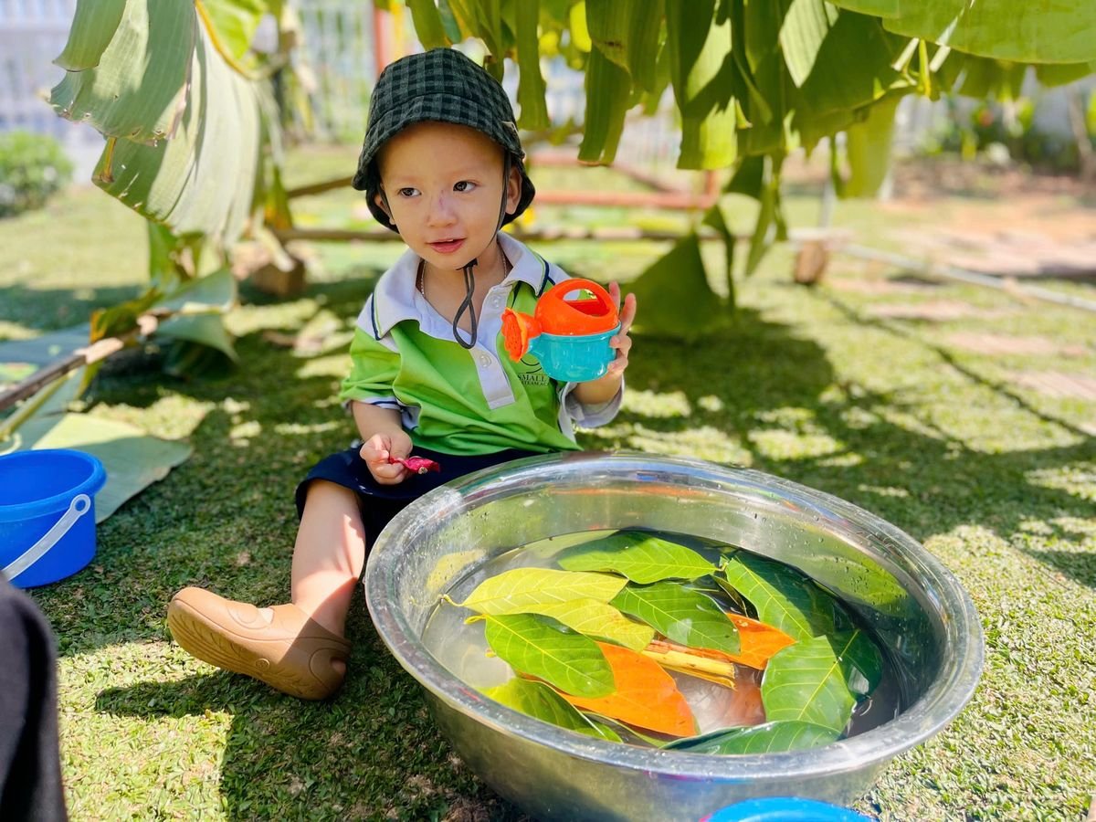 Ảnh hoạt động
