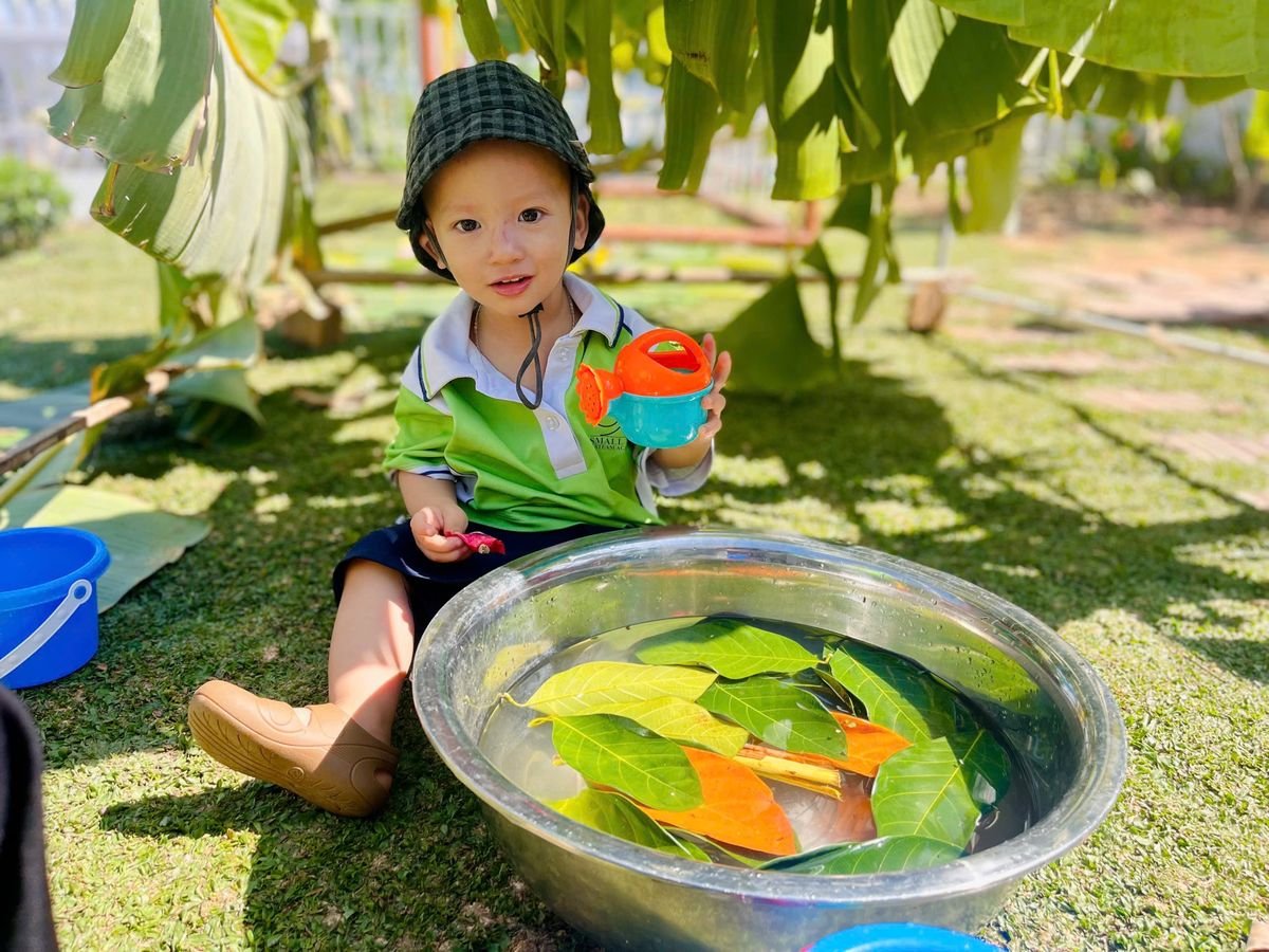 Ảnh hoạt động