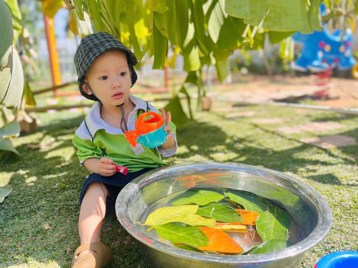 Ảnh hoạt động