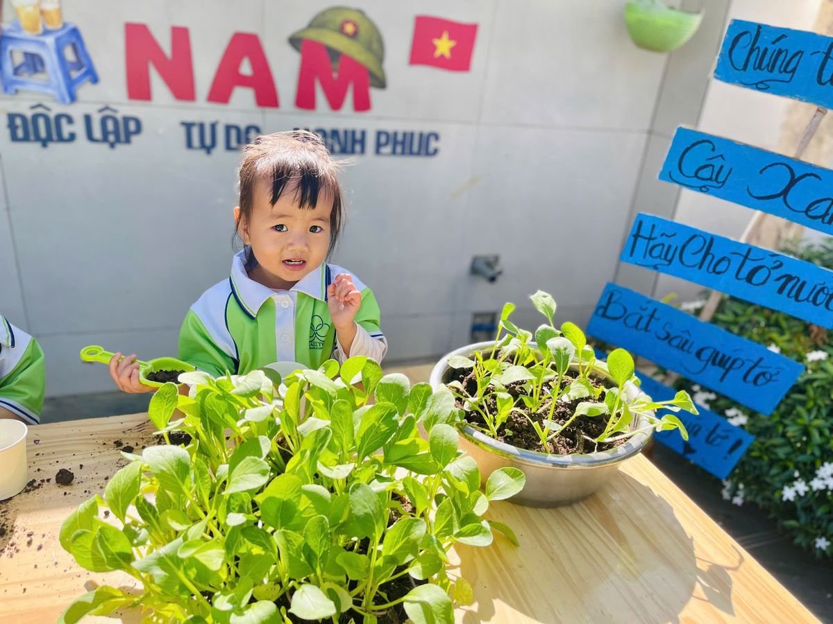 Ảnh hoạt động