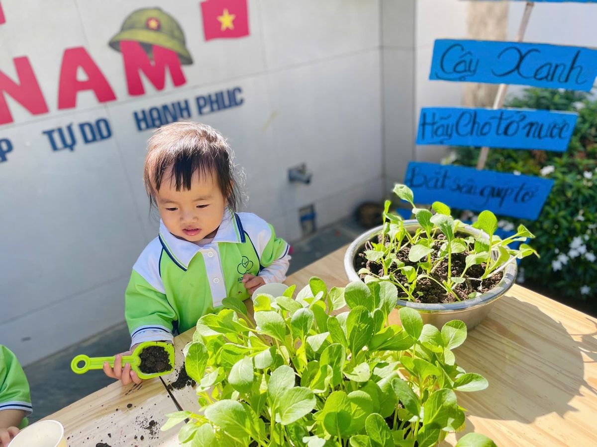 Ảnh hoạt động