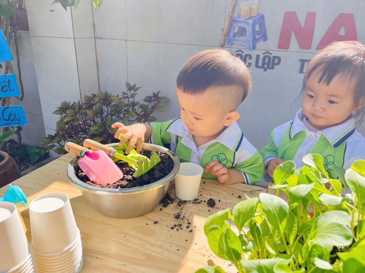 Ảnh hoạt động