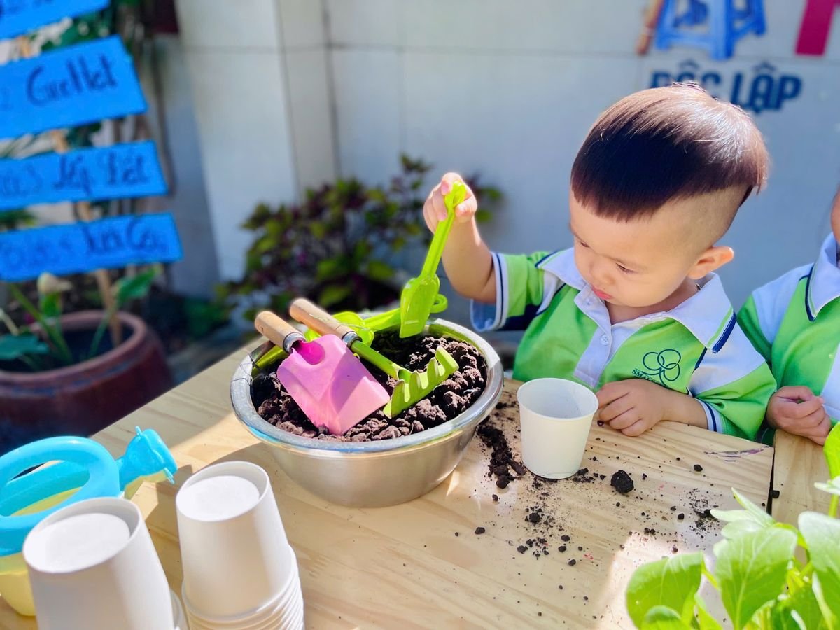 Ảnh hoạt động