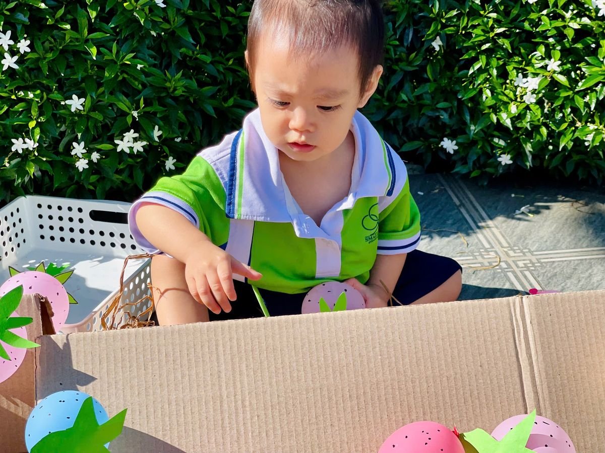 Ảnh hoạt động
