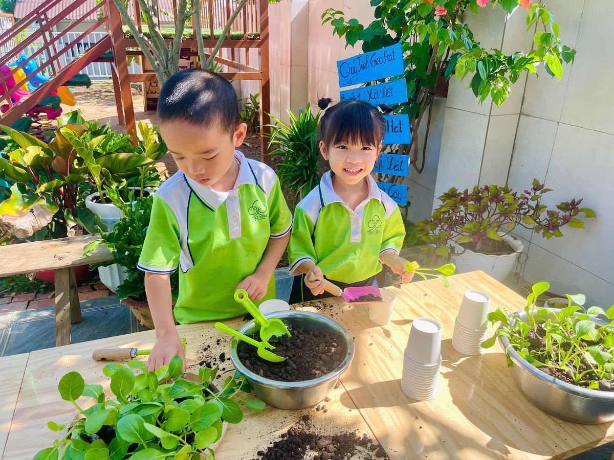 Ảnh hoạt động