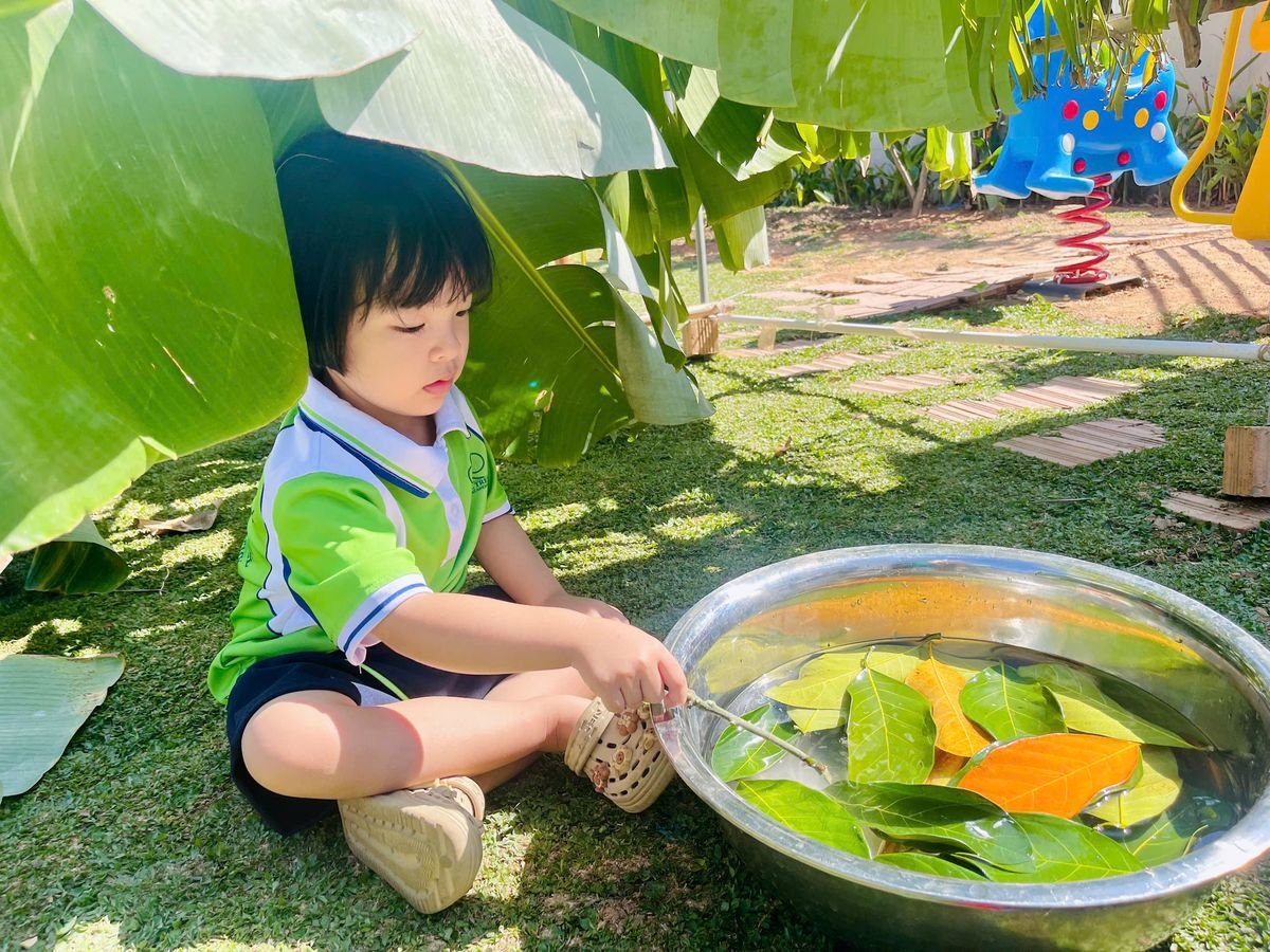 Ảnh hoạt động