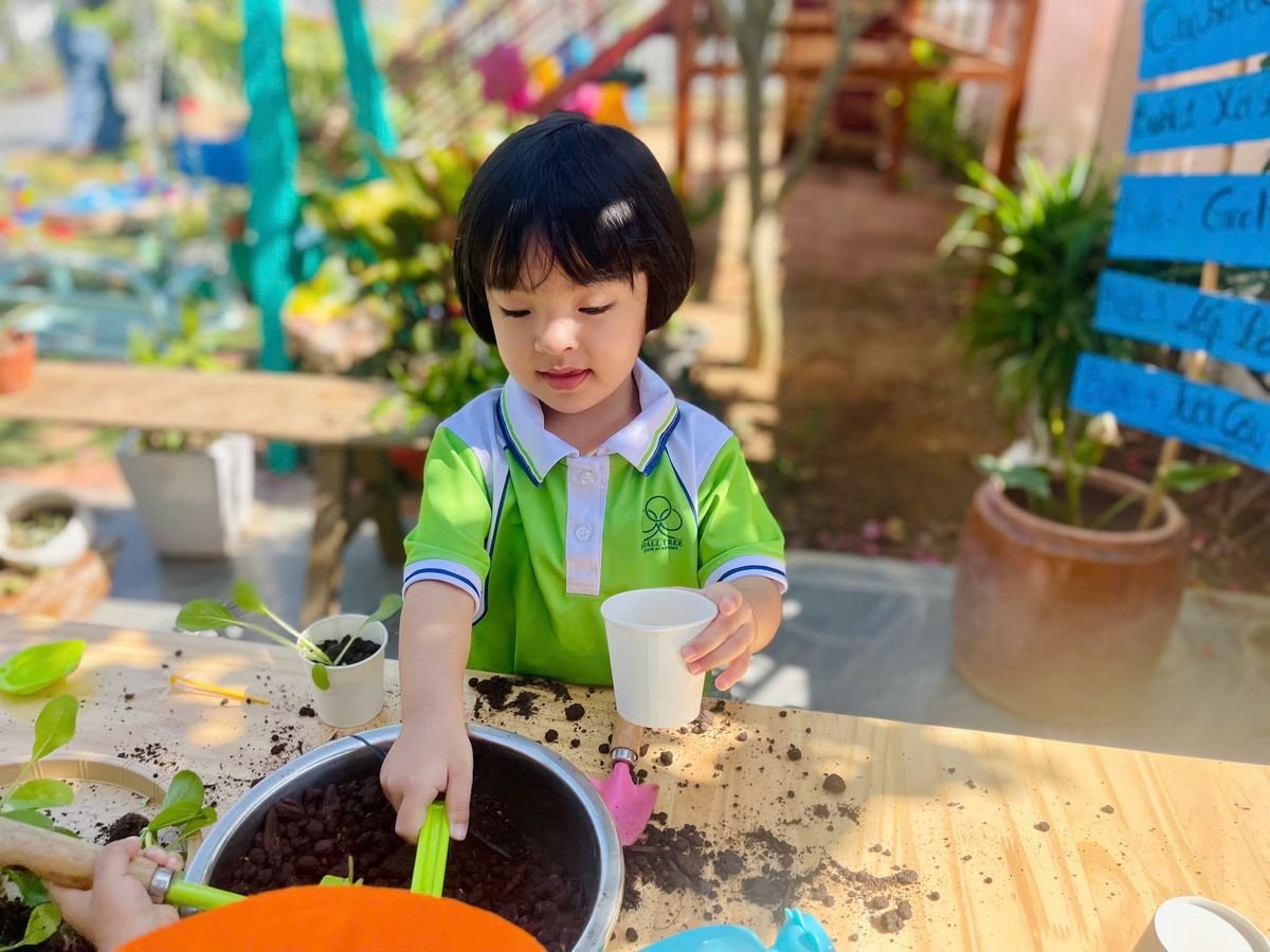 Ảnh hoạt động