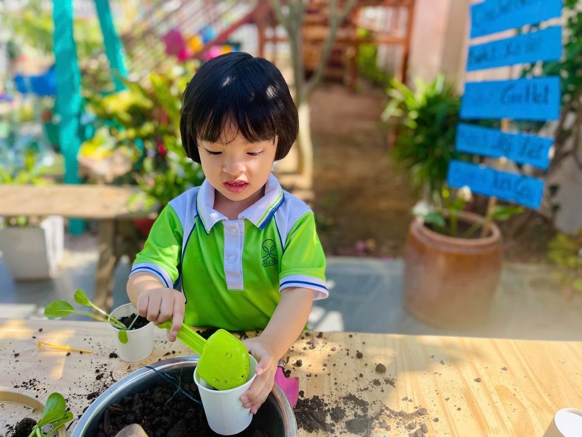 Ảnh hoạt động