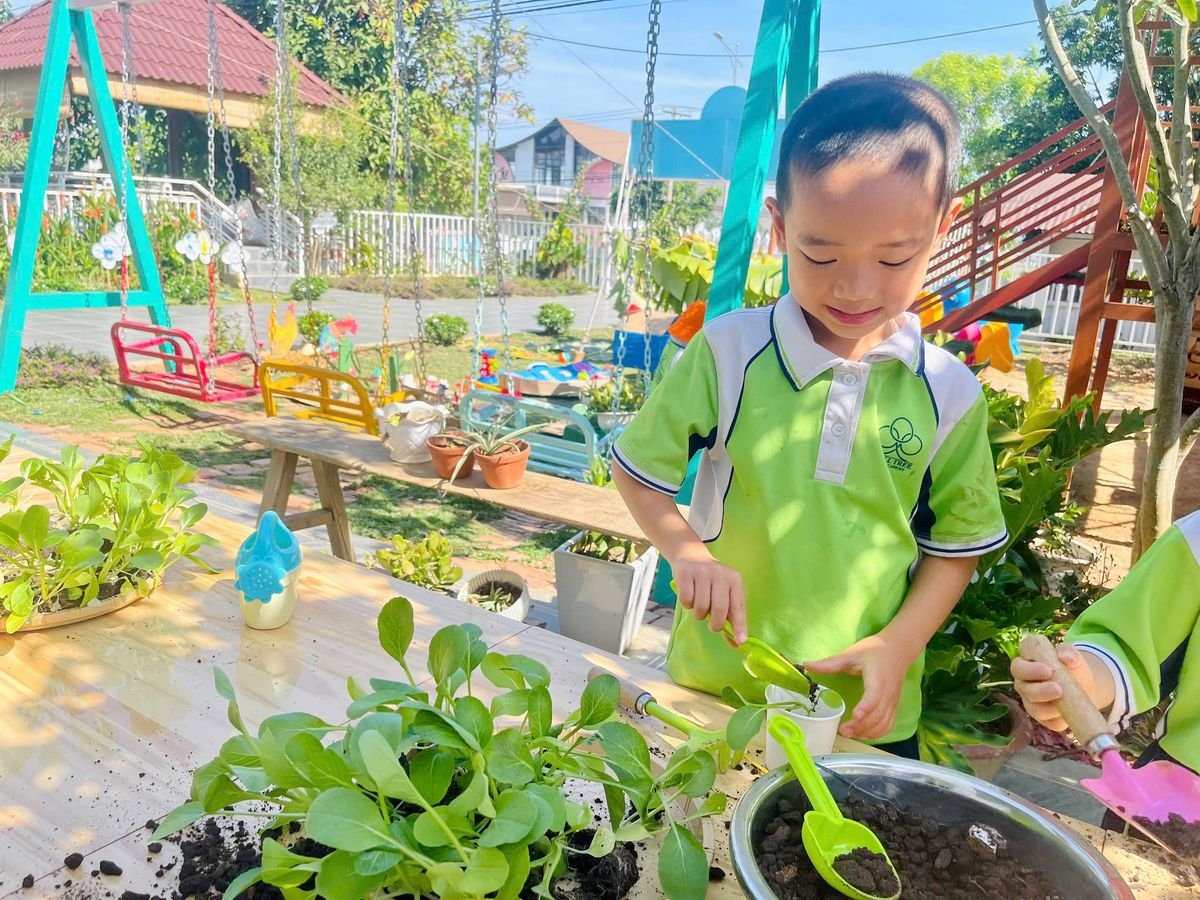 Ảnh hoạt động