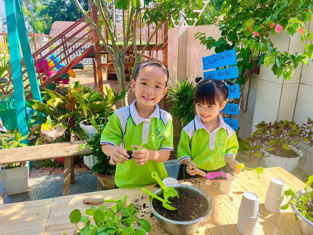 Ảnh hoạt động