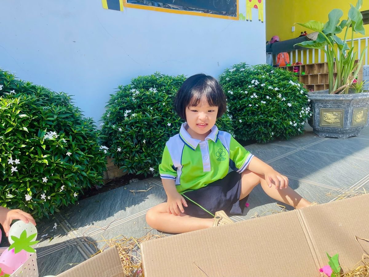 Ảnh hoạt động