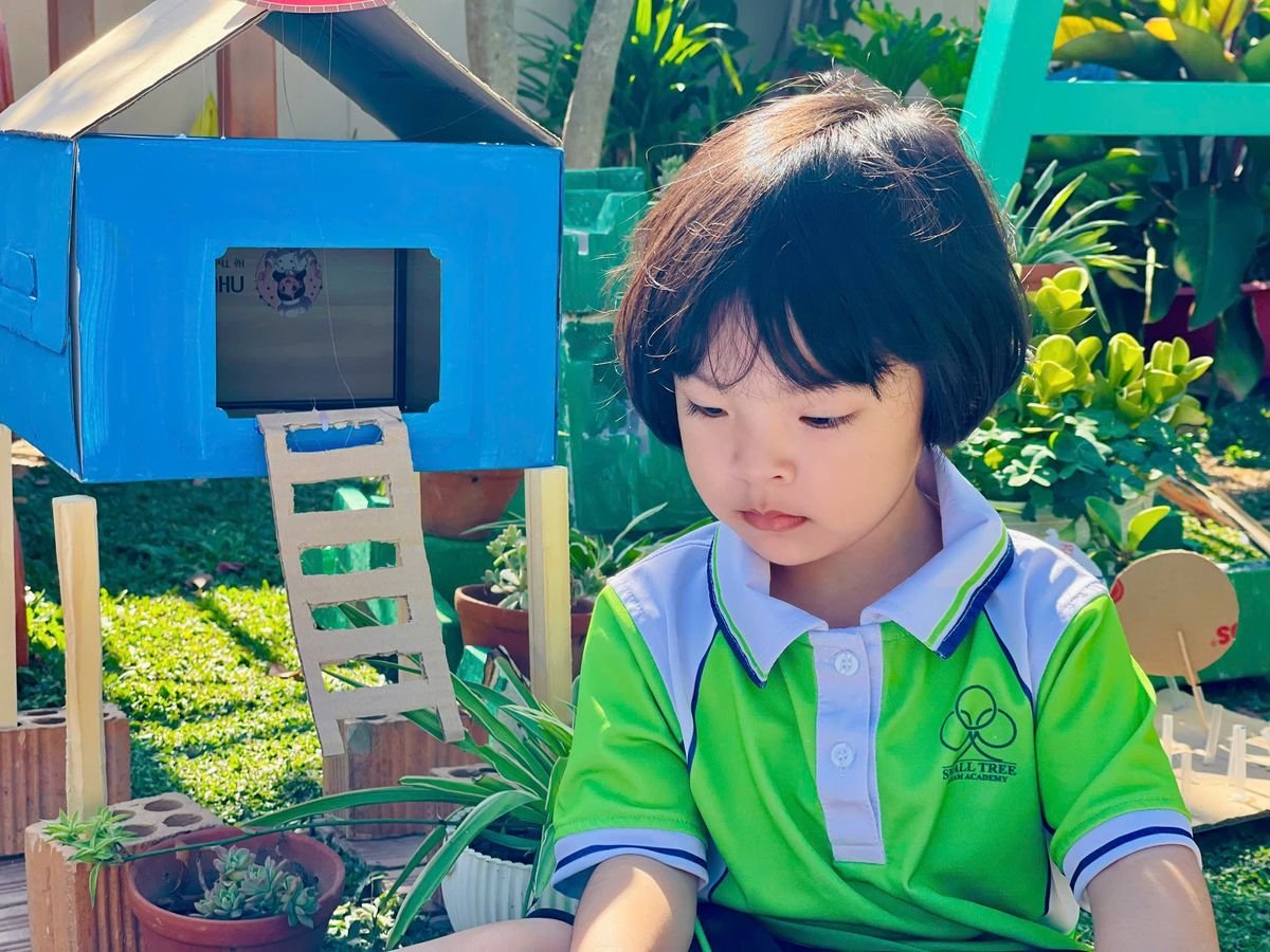 Ảnh hoạt động