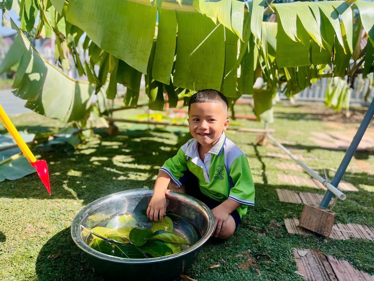 Ảnh hoạt động